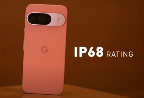 Google Pixel 9 TP rating